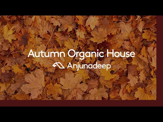 image 0 Anjunadeep Presents: Autumn Organic House (30 Minute Chillout Dj Mix)